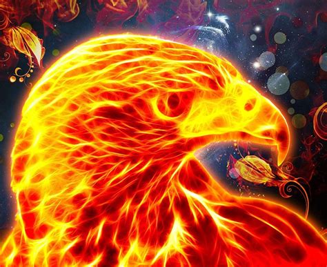 fire eagle wallpaper